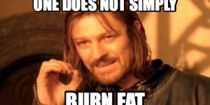 burn fat meme